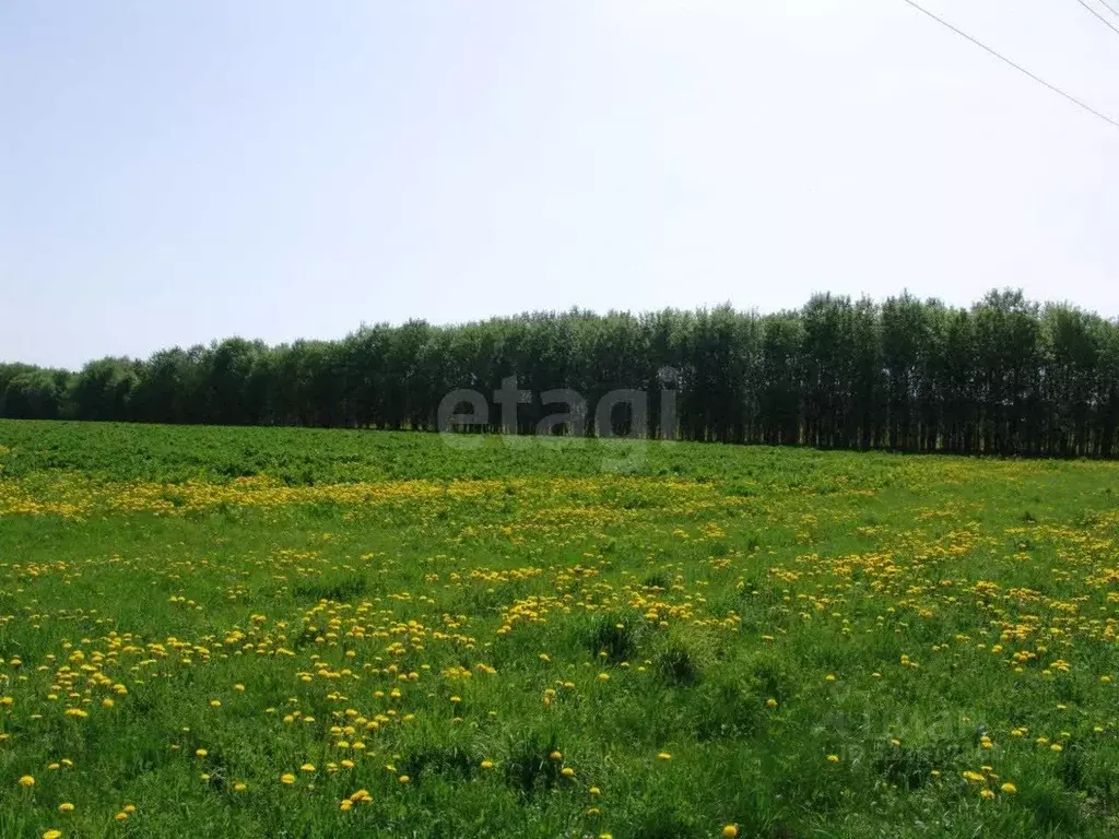 Участок в Калужская область, Боровский муниципальный округ, ... - Фото 1