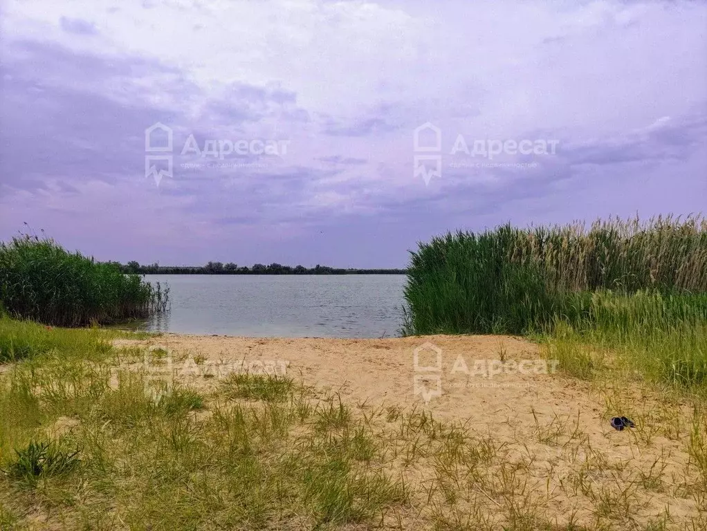 Дом в Волгоградская область, Волгоград Березка СНТ,  (62 м) - Фото 0