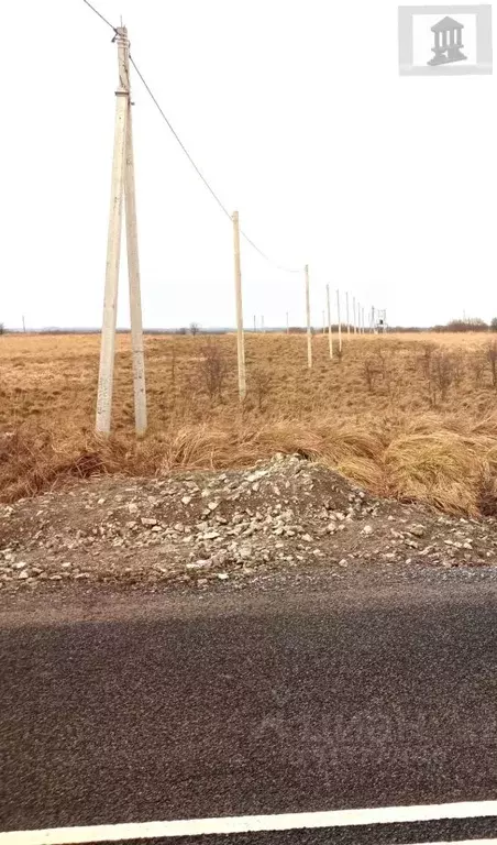 Участок в Калининградская область, Гурьевский муниципальный округ, ... - Фото 1