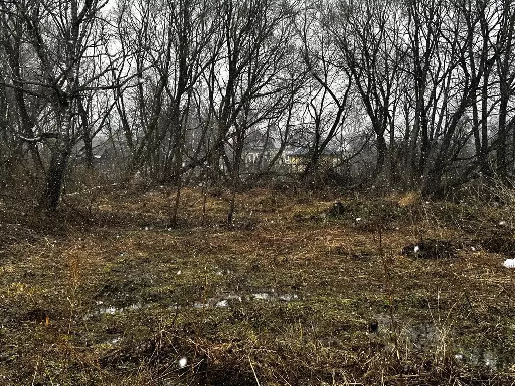 Участок в Московская область, Ступино городской округ, с. Татариново ... - Фото 1