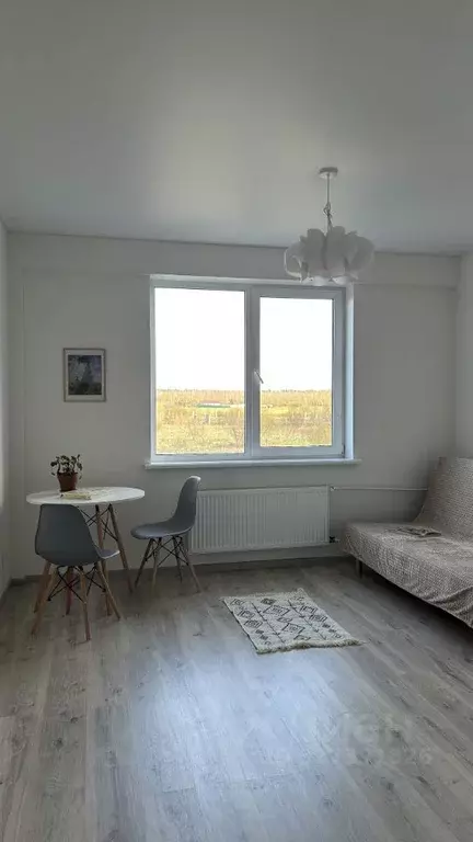 Студия Ленинградская область, Всеволожск Степной просп., 16к4 (22.4 м) - Фото 1