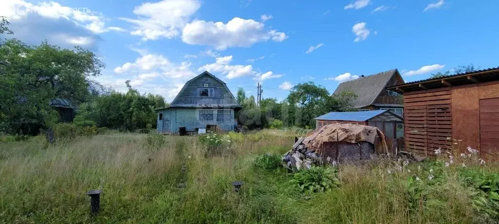 Участок в Мшинское сельское поселение, садоводческий массив Мшинская, ... - Фото 1