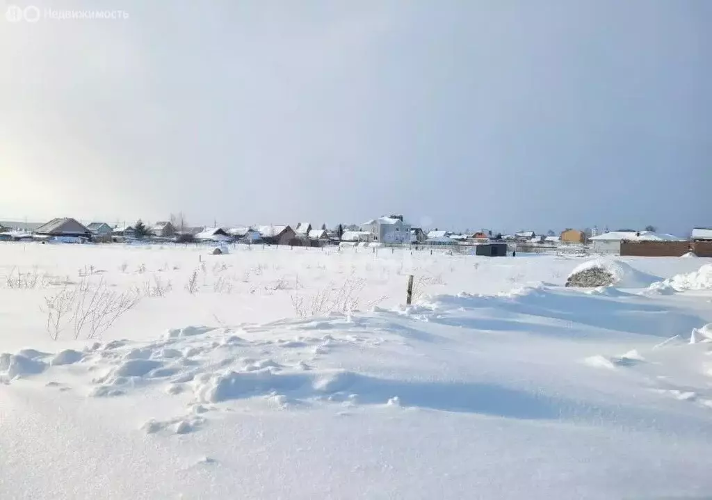 Участок в Пестречинский район, Богородское сельское поселение, село ... - Фото 1