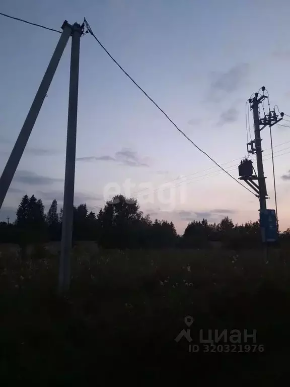 Дом в Псковская область, Пыталовский муниципальный округ, д. Магиново  ... - Фото 1