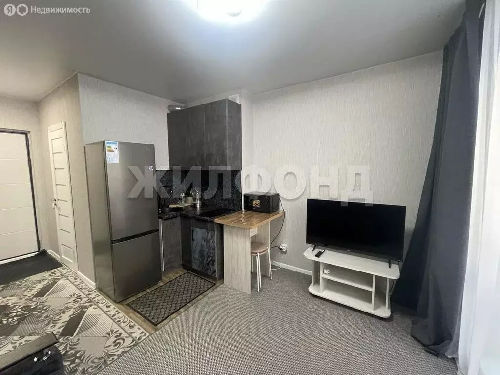 Квартира-студия: посёлок Садовый, микрорайон Околица, 2 (18 м) - Фото 1