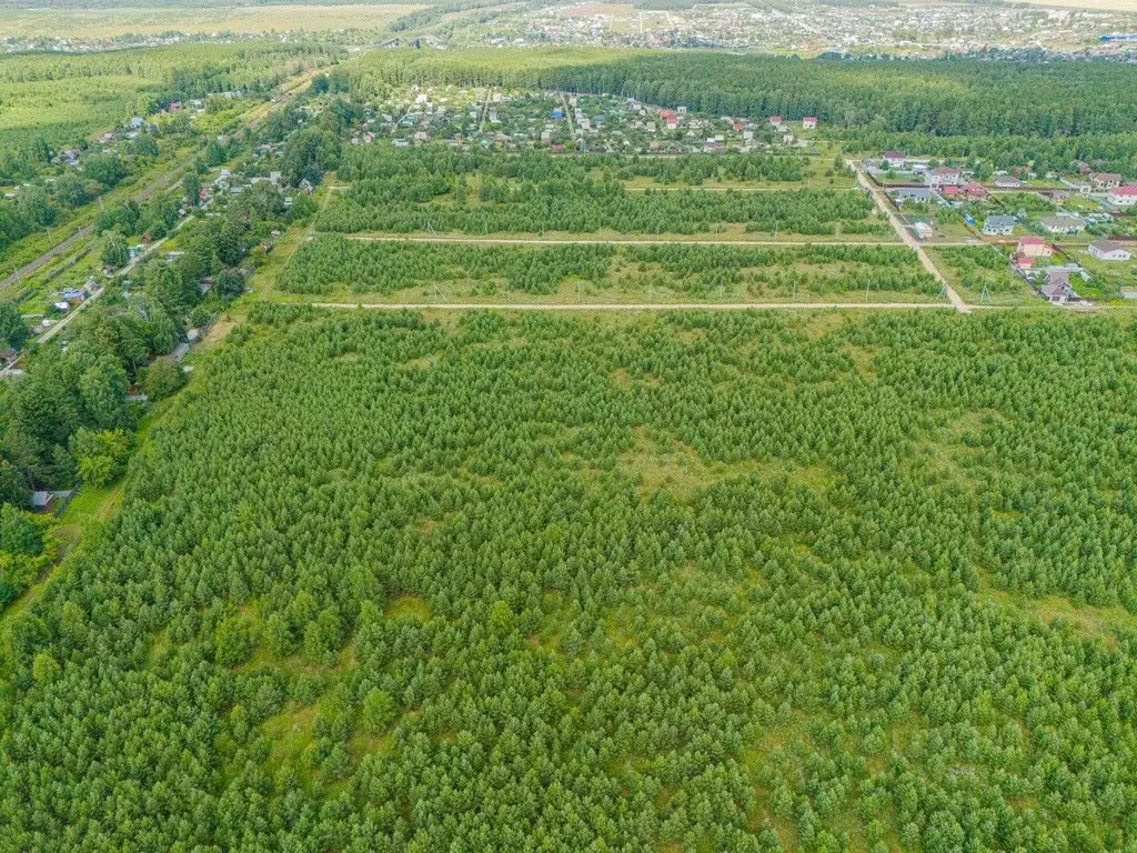 Участок в Свердловская область, Белоярский муниципальный округ, ... - Фото 1