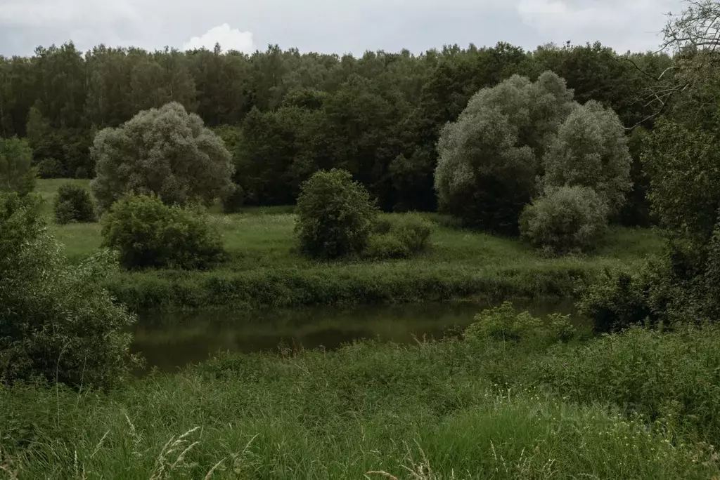 Дом в Калужская область, Жуковский район, Верховье с/пос, База отдыха ... - Фото 2
