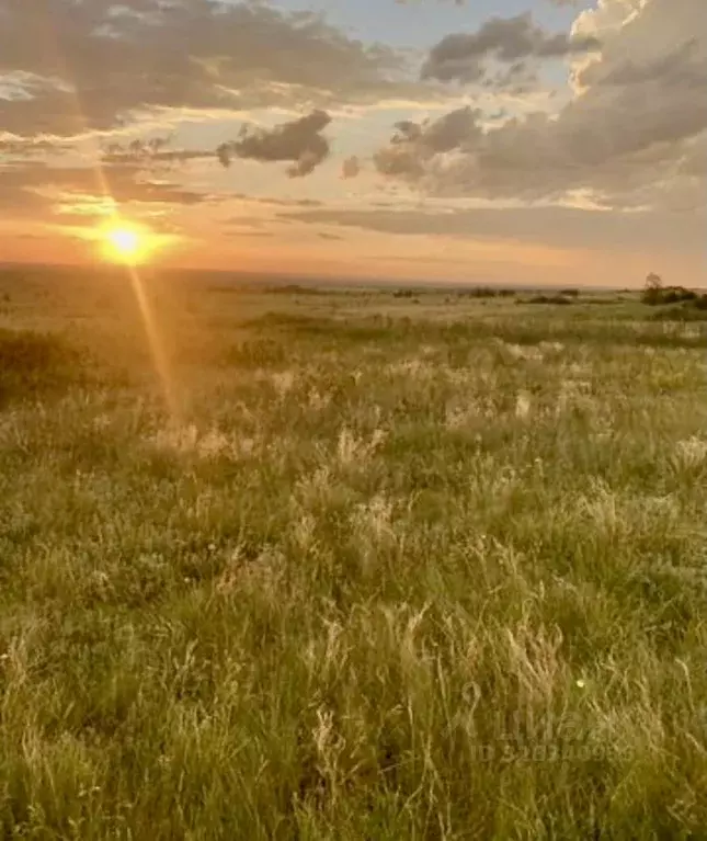 Участок в Самарская область, Красноярский район, Новосемейкино ... - Фото 2