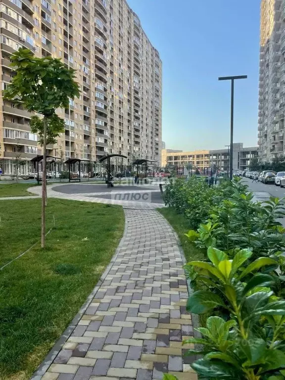 1-к кв. Краснодарский край, Краснодар Имени Петра Метальникова мкр, ... - Фото 1