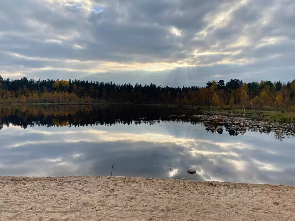 Участок в Ленинградская область, Приозерский район, Сосновское с/пос, ... - Фото 0