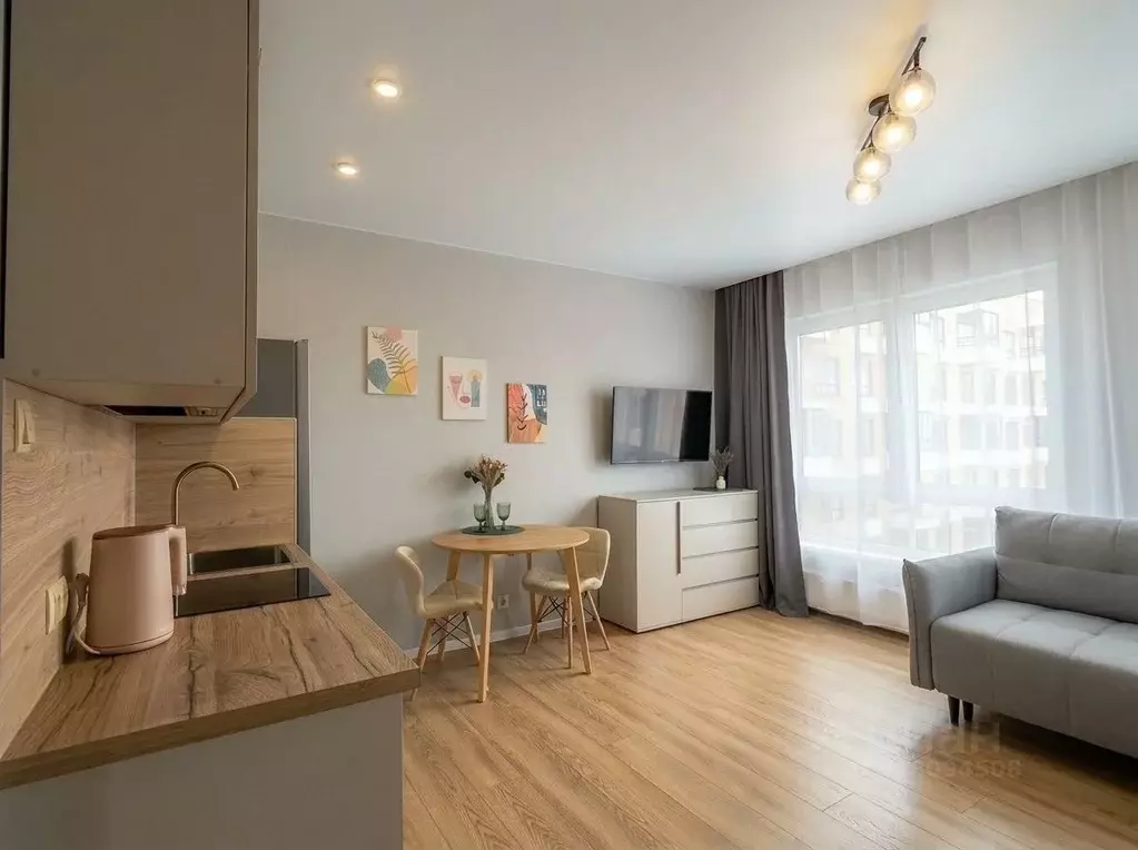 Студия Ленинградская область, Ломоносовский район, Аннинское городское ... - Фото 1