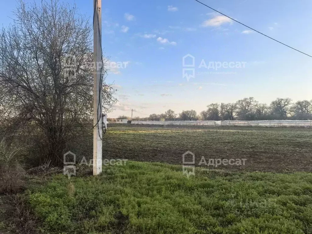 Участок в Волгоградская область, Среднеахтубинский район, Ахтубинское ... - Фото 1