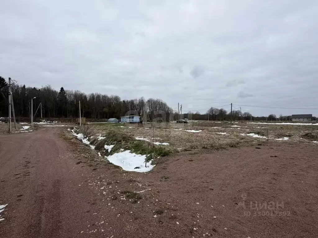 Участок в Ленинградская область, Ломоносовский район, Лопухинское ... - Фото 1
