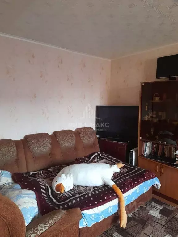 1-к кв. Брянская область, Брянск Кромская ул., 43 (34.3 м) - Фото 1