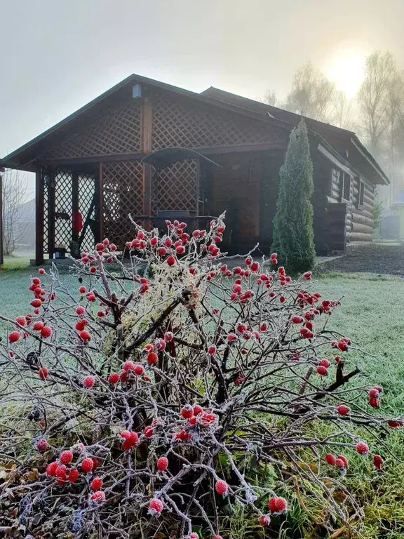 Коттедж в Калужская область, Тарусский муниципальный округ, Волковское ... - Фото 2