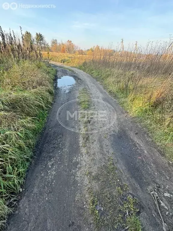 Участок в Калининградская область, Гвардейский муниципальный округ, ... - Фото 0