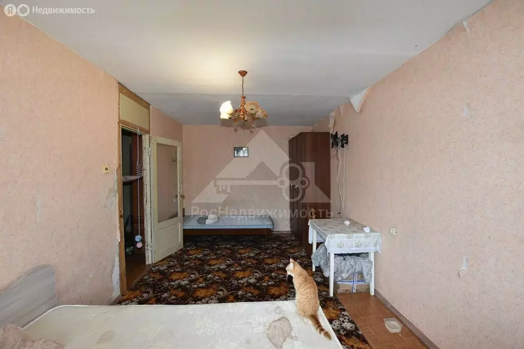 1-комнатная квартира: Кольчугино, Школьная улица, 9 (38.6 м) - Фото 2