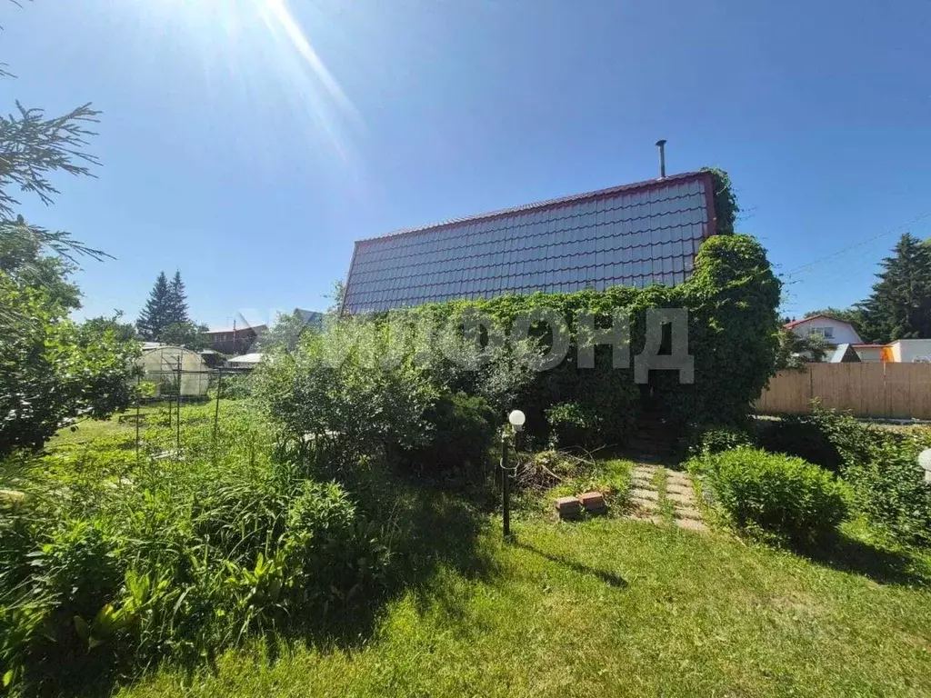 Дом в Новосибирская область, Новосибирск Волна СНТ, ул. Садовая (68 м) - Фото 0