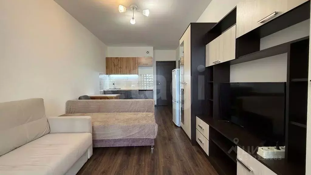 Студия Санкт-Петербург просп. Ветеранов, 175к4 (24.7 м) - Фото 0