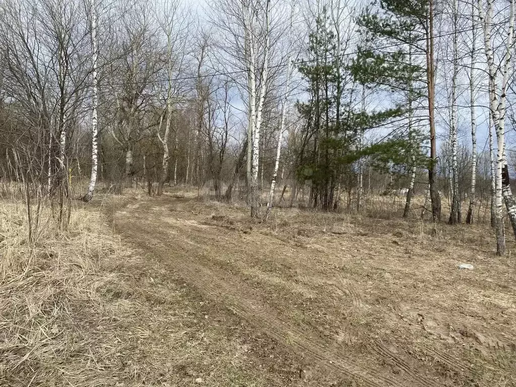 Участок в Калужская область, Калуга городской округ, д. Косарево  ... - Фото 2