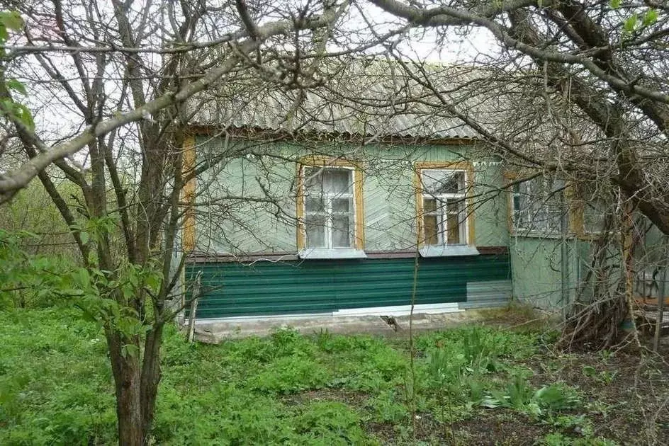 Дом в Воронежская область, Новоусманский район, пос. Тимирязево ... - Фото 1