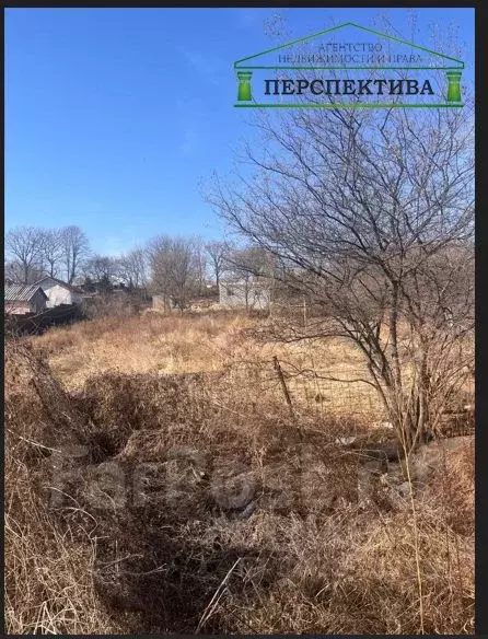 Участок в Приморский край, Артемовский городской округ, с. Кролевцы ... - Фото 0