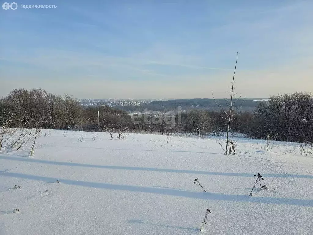 Участок в Дмитровский городской округ, деревня Елизаветино (17.5 м) - Фото 1