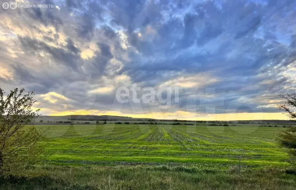 Участок в Белогорский район, село Русаковка (831 м) - Фото 1