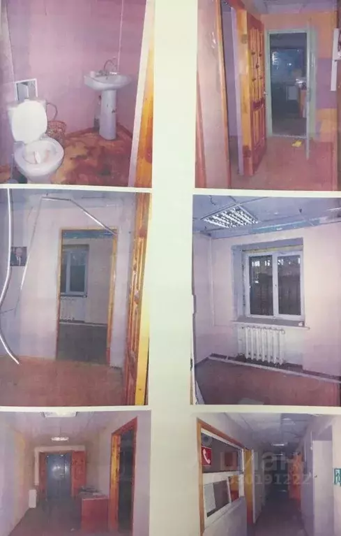 Помещение свободного назначения в Липецкая область, Липецк ул. ... - Фото 1