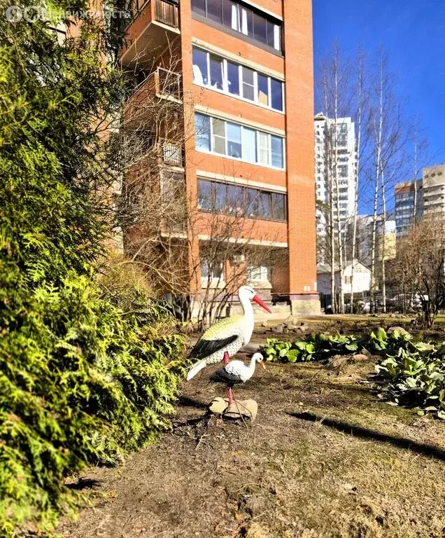 1-комнатная квартира: Санкт-Петербург, Рашетова улица, 6 (38.2 м) - Фото 1