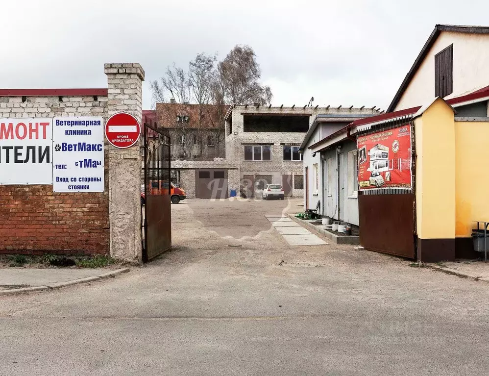 Производственное помещение в Калининградская область, Советск ул. ... - Фото 0