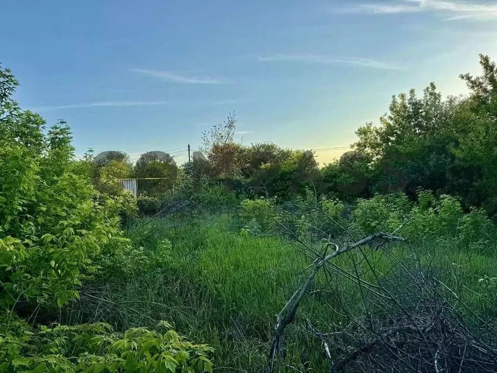 Участок в Белгородская область, Белгородский район, Северный городское ... - Фото 1