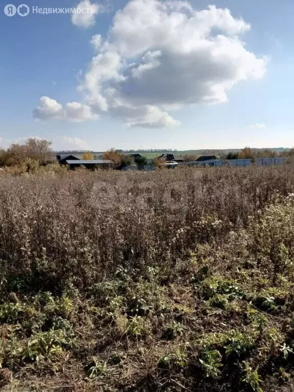 Участок в Саранск, СНТ Натуралист (10 м) - Фото 1