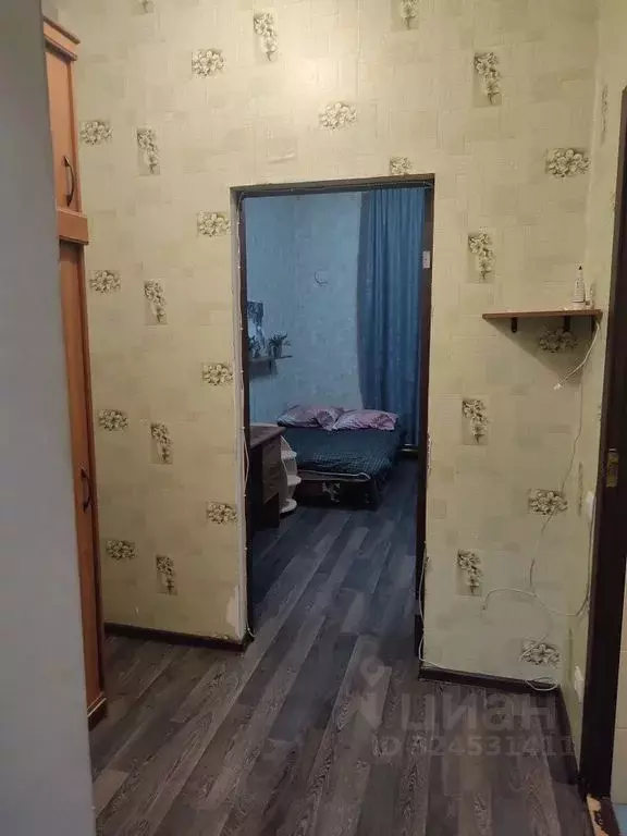 Студия Псковская область, Псков ул. Ижорского Батальона, 57А (25.0 м) - Фото 1