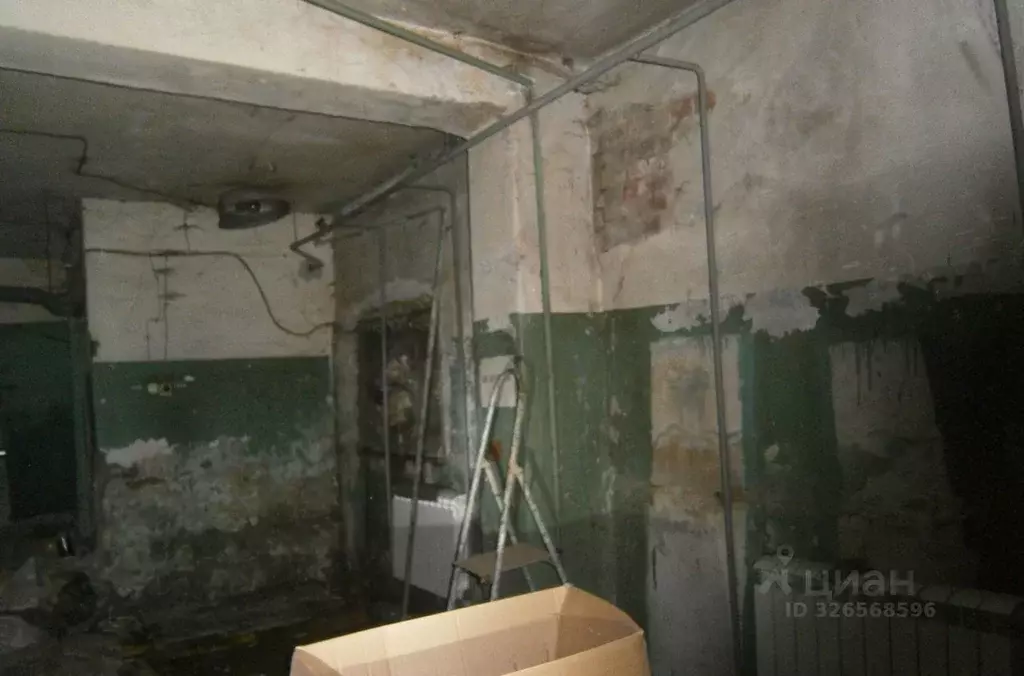 Помещение свободного назначения в Новосибирская область, Новосибирск ... - Фото 2