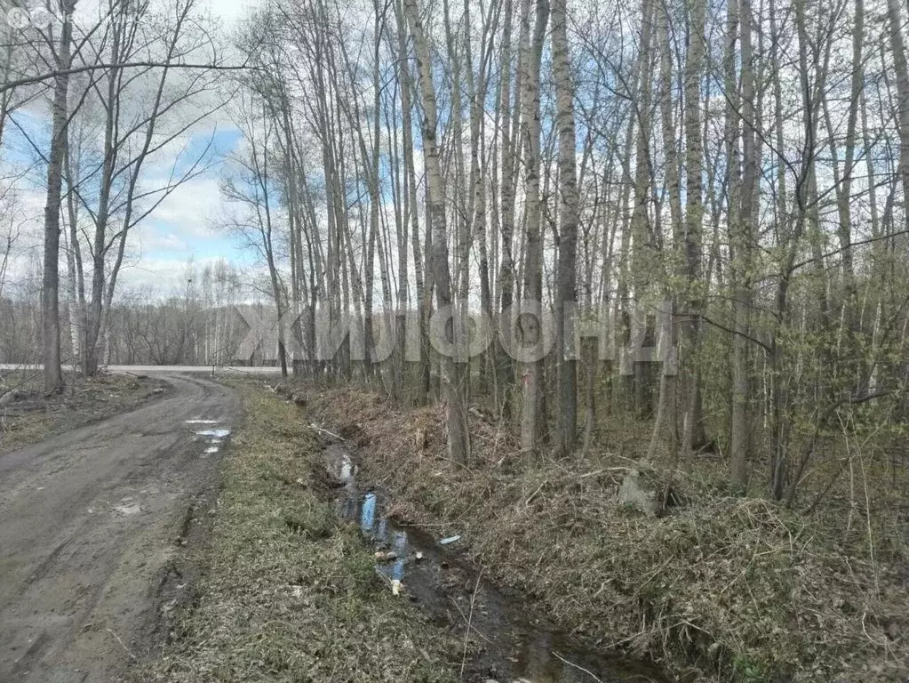 Участок в Новосибирск, улица Состязания (9 м) - Фото 0