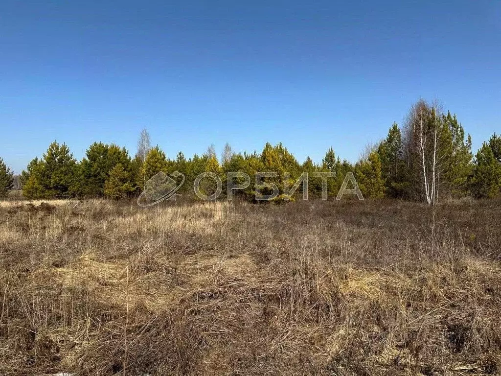 Участок в Тюменская область, Нижнетавдинский район, Сундукульский ... - Фото 0