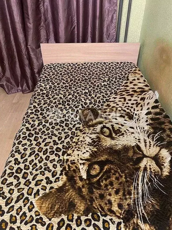 3-к кв. Ленинградская область, Кудрово г. Всеволожский район, ... - Фото 2