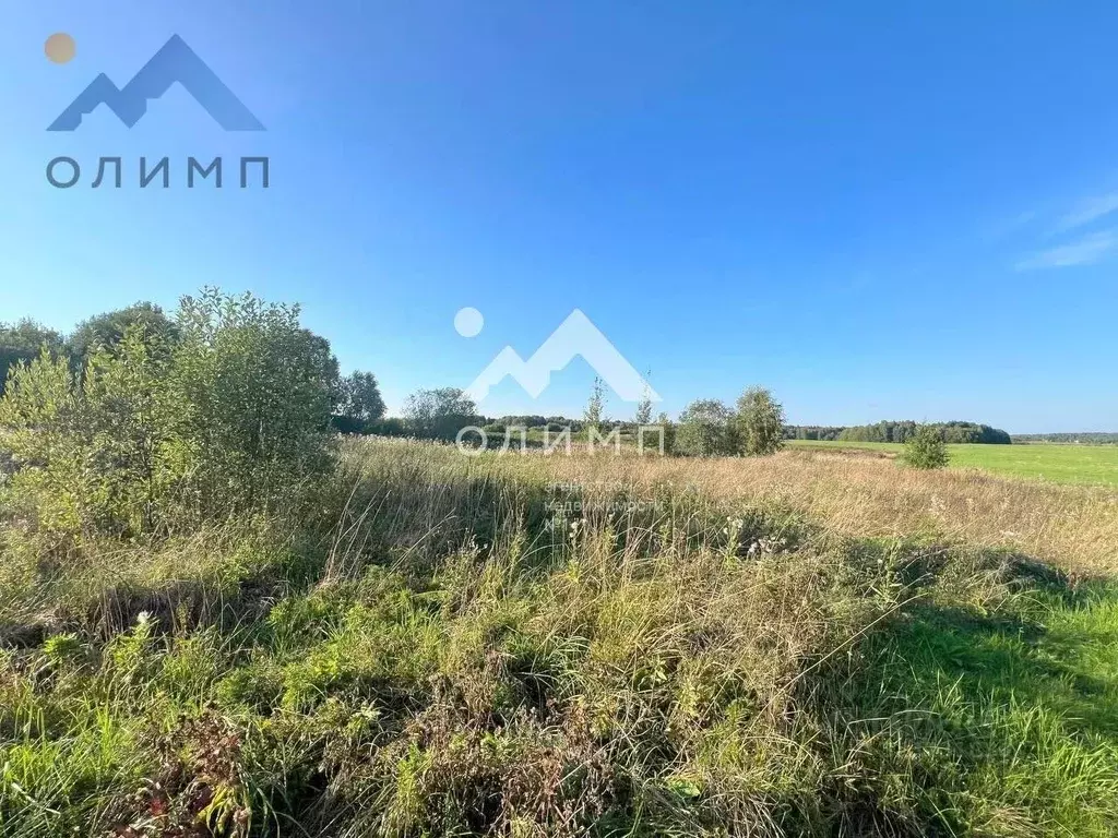 Участок в Вологодская область, д. Елгино  (11.9 сот.) - Фото 2