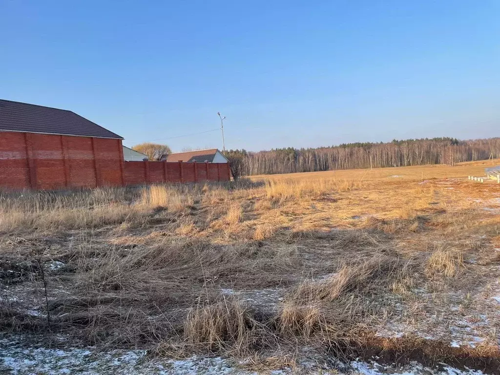 Участок в Московская область, Домодедово городской округ, д. Михеево  ... - Фото 0
