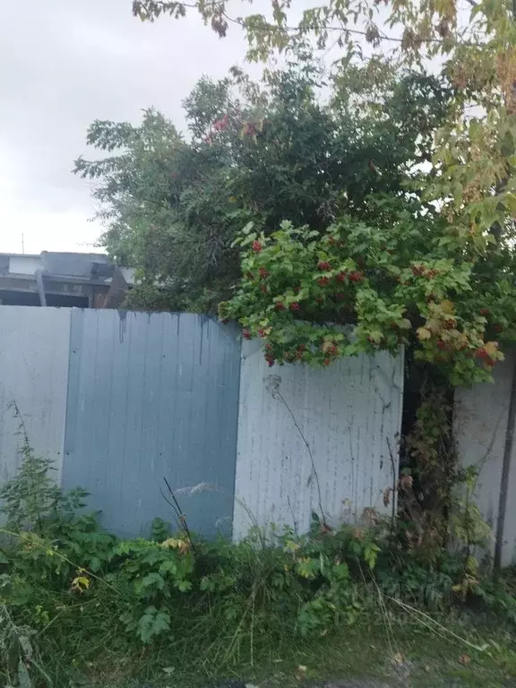 Участок в Челябинская область, Челябинск Тракторосад № 3 СНТ,  (414.0 ... - Фото 1