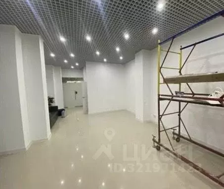 Офис в Краснодарский край, Анапа ул. Шевченко, 65 (49 м) - Фото 0