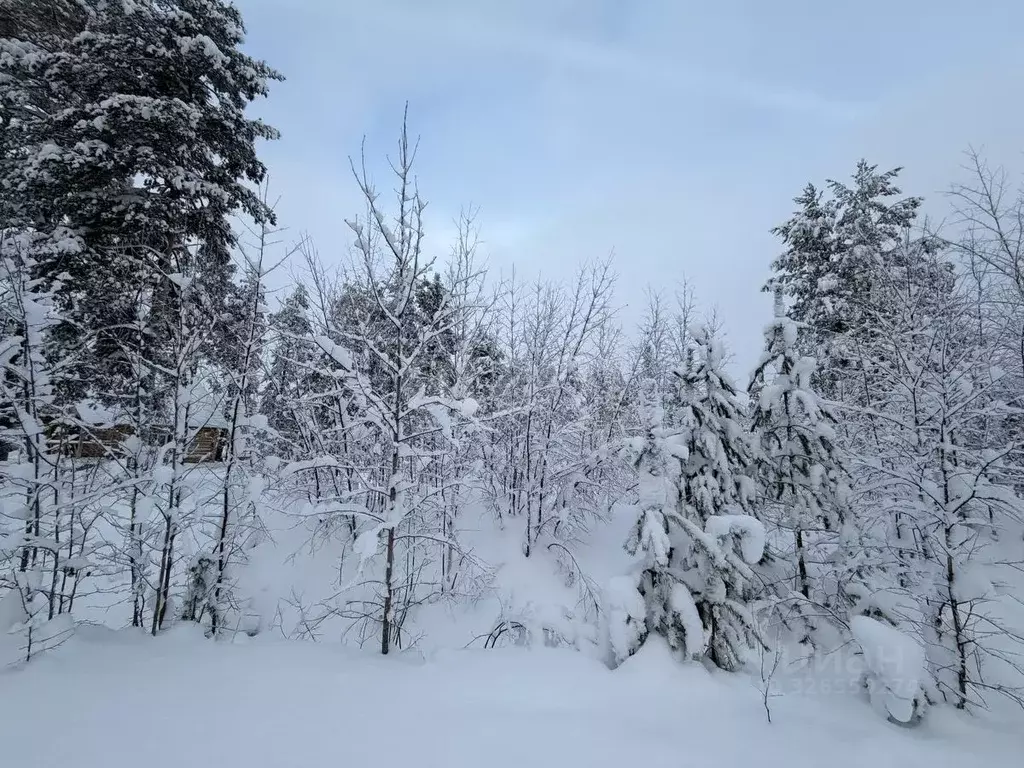 Участок в Коми, Сыктывдинский район, Выльгорт муниципальное ... - Фото 1