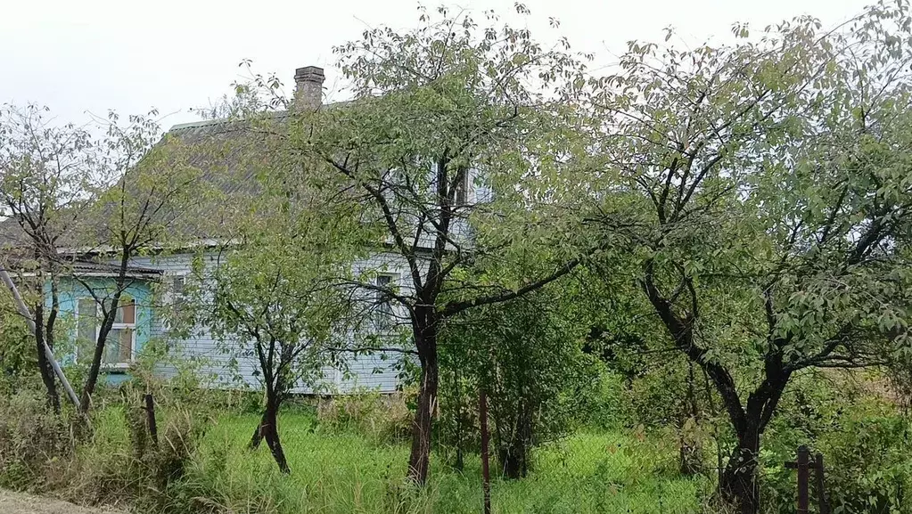 Дом в Санкт-Петербург пос. Усть-Ижора, Социалистическая ул., 121 (54 ... - Фото 1