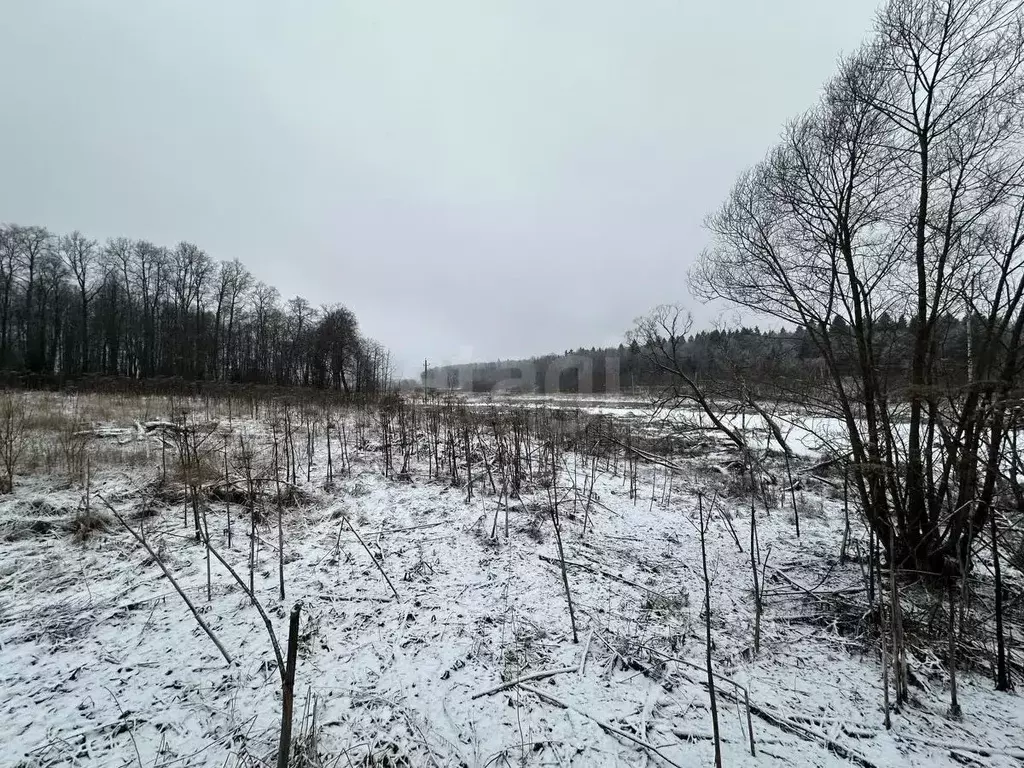 Участок в Москва № 307 кв-л, 1 (600.0 сот.) - Фото 1