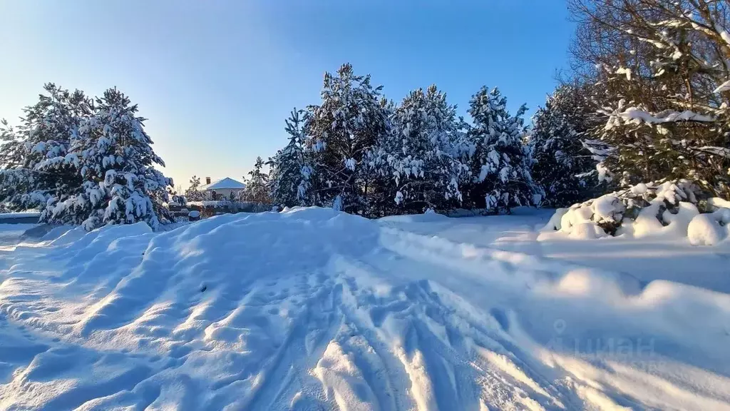 Участок в Калужская область, Жуковский муниципальный округ, д. Поляна ... - Фото 1