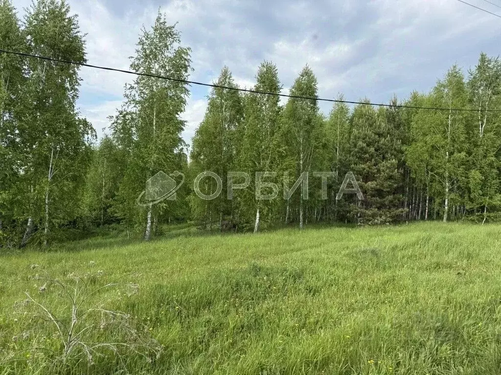 Участок в Тюменская область, Тюменский муниципальный округ, д. ... - Фото 2