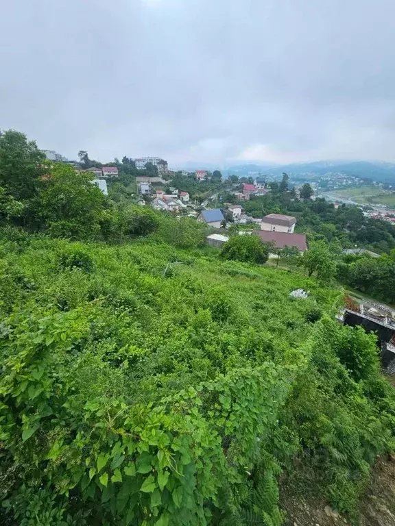 Участок в Краснодарский край, Сочи ул. Персиковая (10.0 сот.) - Фото 1