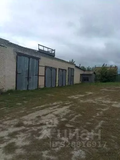 Помещение свободного назначения в Ульяновская область, Радищевский ... - Фото 2