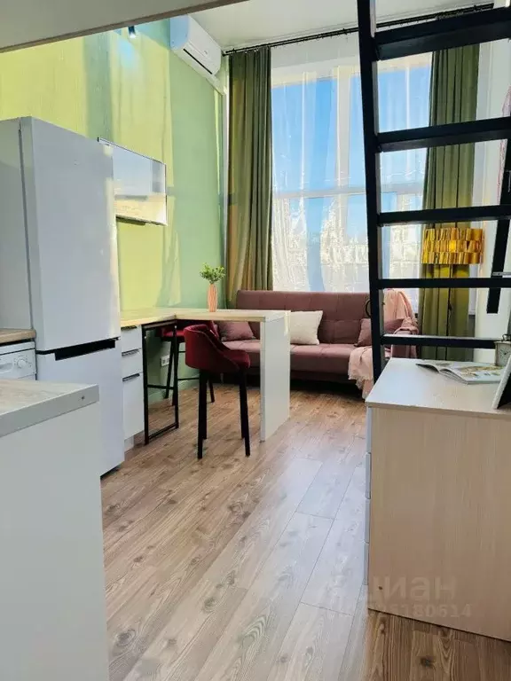 Студия Московская область, Раменский муниципальный округ, Ильинский ... - Фото 2